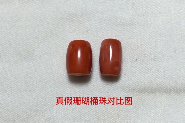真假紅珊瑚比較圖，天然紅珊瑚真假對照圖