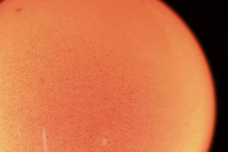 怎樣鑒別真假南紅？真南紅和假南紅的那些事（7）