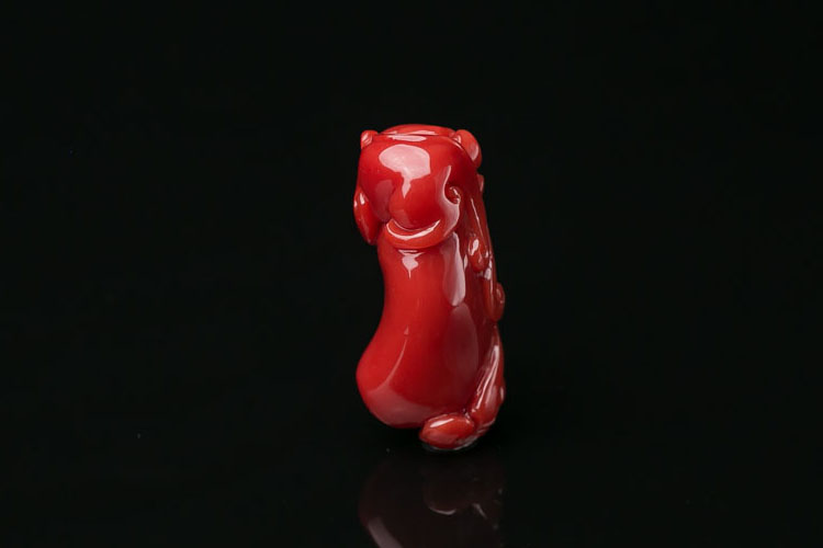 珊瑚種類介紹，紅珊瑚的種類有哪些？（2）