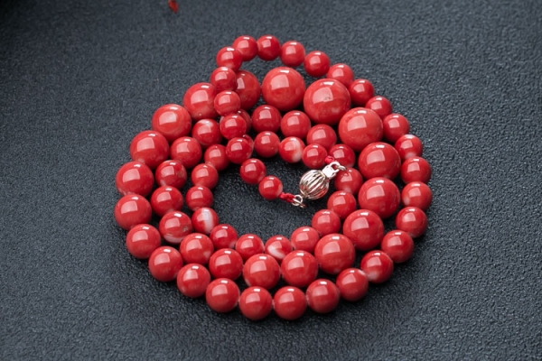 臺(tái)灣珊瑚價(jià)格是多少？Momo 紅珊瑚價(jià)格是多少？