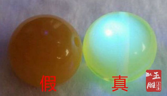 真假琥珀的鑒別圖片-玉雕名家