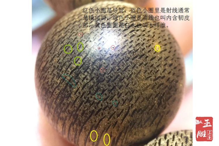 沉香鑒別方法-玉雕名家